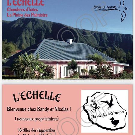 Bed and Breakfast L'Echelle La Plaine-des-Palmistes Zewnętrze zdjęcie
