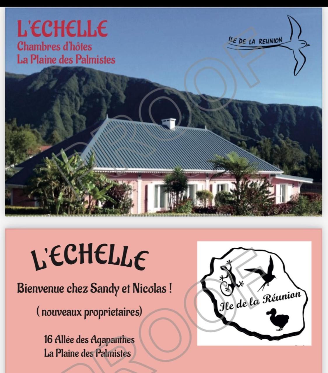 Bed and Breakfast L'Echelle La Plaine-des-Palmistes Zewnętrze zdjęcie